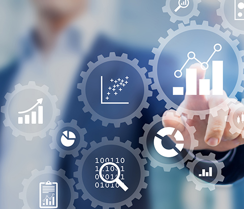 Consultancy and support